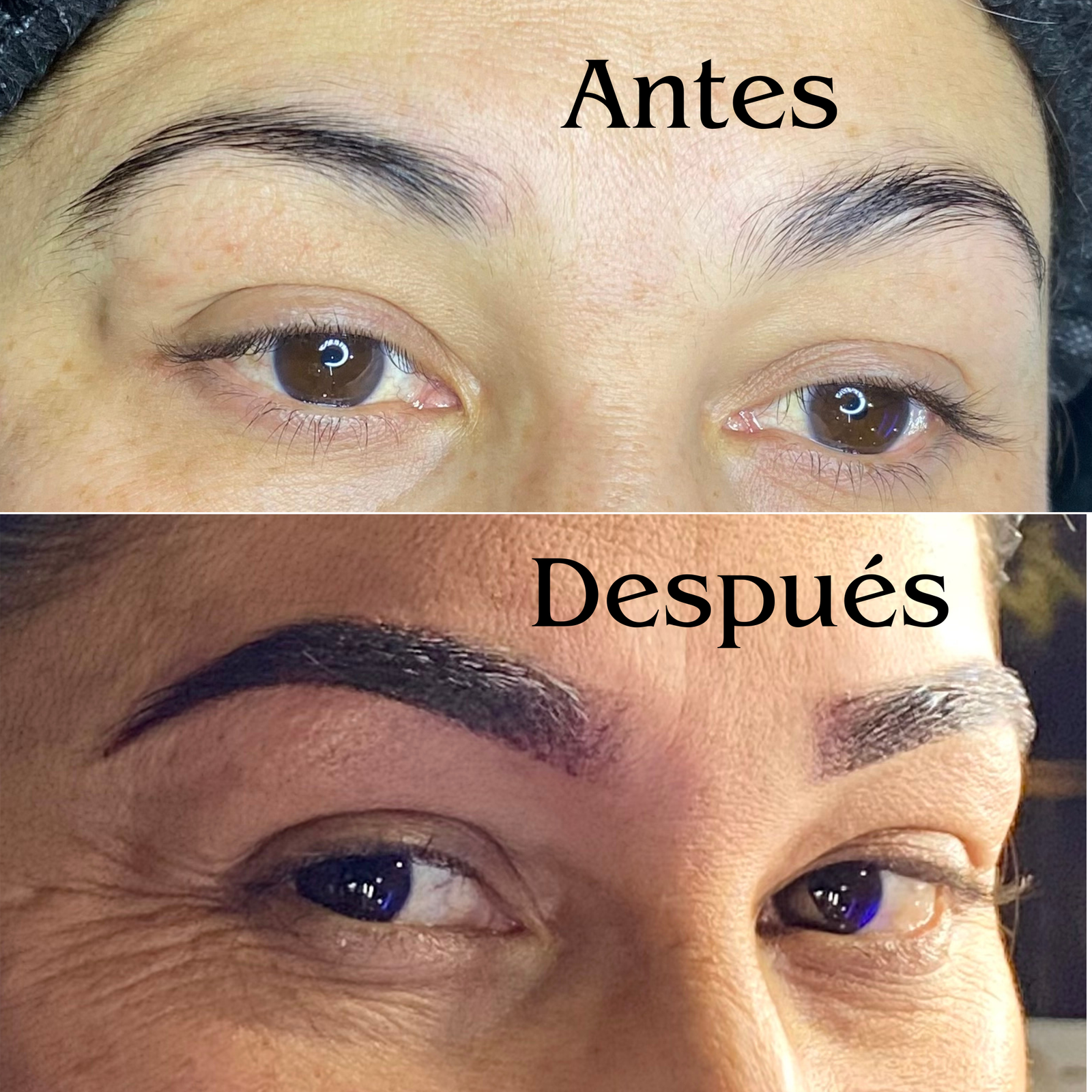 CEJAS EFECTO POLVO